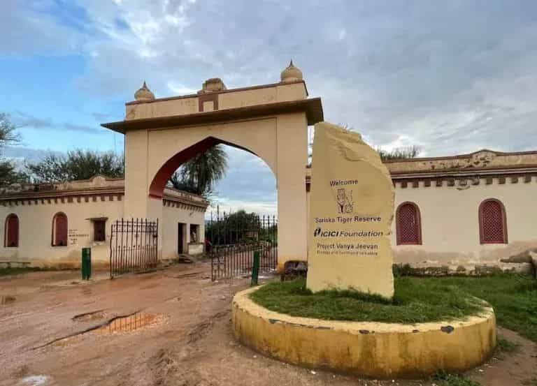 Sariska Tiger Reserve Safari